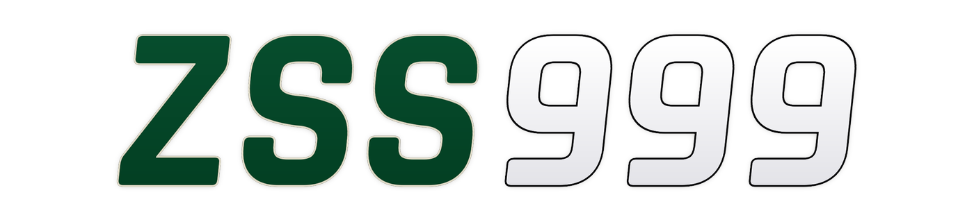 zss999